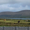 Отель Stunning 1-bed Apartment Valentia Island, фото 23