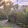 Отель Quinta de São Pedro de Vir-a-Corça, фото 9