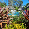 Отель Las Dunas Surf Resort - Hostel, фото 28
