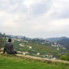 Отель Wunderhaus Atists's Getaway and Homestay, фото 10
