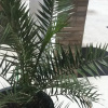 Отель Villa Jasmina, фото 5