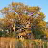 Отель Nkasa Lupala Tented Lodge, фото 46