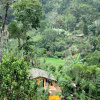 Отель Tea Cabins, фото 18