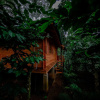 Отель Bamboo Creek Resort, фото 6