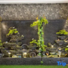 Отель Leping Nanhe Garden Hotel, фото 17