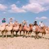 Отель Camel Track, фото 25