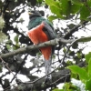 Отель Miriam's Quetzaly lodge, фото 13