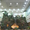 Отель Anhui Fuyang Guomao Hotel - Fuyang, фото 11