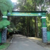 Отель Villa Bidadari, фото 1