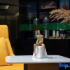 Отель Hampton by Hilton Linyi City, фото 5