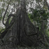 Отель Enashawa Lodge, фото 1