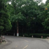 Отель Mianyang Luofushan Hongyun Hostel, фото 1