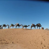 Отель Erg Chegaga Desert Camp, фото 9