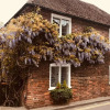 Отель Wisteria Cottage, фото 1