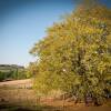 Отель La Grange des Suds, фото 8