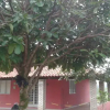 Отель Residência Guimarães, фото 4