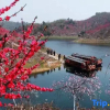 Отель Xihai Hot Spring Holiday Hotel, фото 37