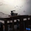 Отель Qiyue Linyin Bieyuan (Lijiang Gucheng Mufu Branch), фото 6