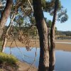 Отель Breakfast with the Kangaroos в Муни-Биче