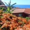 Отель House In Calheta Beach - Best Location In Calheta, фото 1