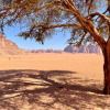 Отель Wadi Rum Bedouin Tour with a Camp, фото 5