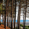 Отель Maison Arcachon, 3 pièces, 5 personnes - FR-1-420-63, фото 3