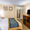 Отель Comfort Inn, фото 4