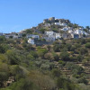 Отель Moustafa Stone House, фото 19