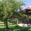 Отель Vila Predelut, фото 5
