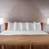 Отель Quality Inn & Suites Vestal Binghamton near University, фото 3