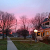 Отель The Blue Belle Inn Bed and Breakfast, фото 1