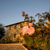 Отель Villa Il Castagno Wine & Resort, фото 23