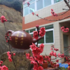 Отель Naixing Shihu Leisure Mountain Resort, фото 18