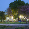 Отель Nuriel Fruit & Guest House, фото 12