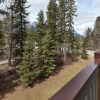 Отель Newly Renovated Grizzly Lodge, Spacious 3BR 2BA with open pool, hot tub, фото 1