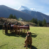 Отель Llanganuco Mountain Lodge, фото 14