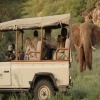 Отель Saruni Samburu, фото 29