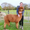 Отель Silverstream Alpaca Farmstay and Tour, фото 22