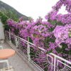 Отель Apartment Graci - 20 m from pebble beach: A1 Gradac, Riviera Makarska, фото 9