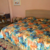 Отель Tropizar Motel, фото 6