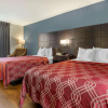Отель Econo Lodge North, фото 22