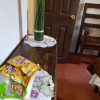 Отель Parrot House, фото 14
