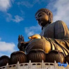 Отель Tongyueju Gold Business Hotel, фото 19