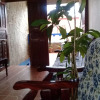 Отель Harvie Paradise, фото 2