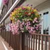 Отель Bishops Country Inn Motel, фото 5