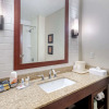 Отель Comfort Inn & Suites Lynchburg Airport - University Area, фото 8