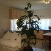 Отель Emerald Guest House Springs, фото 24