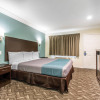 Отель Rodeway Inn & Suites Inglewood, фото 4