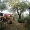 Отель Tra Gli Ulivi, фото 8