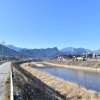 Отель Sokcho Daemyung Pension, фото 17